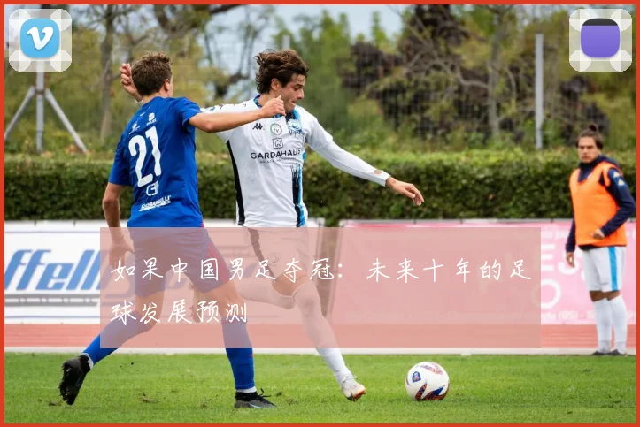 如果中国男足夺冠:未来十年的足球发展预测