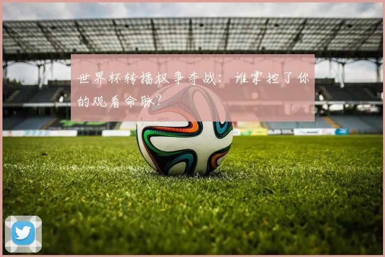 世界杯转播权争夺战：谁掌控了你的观看命脉？