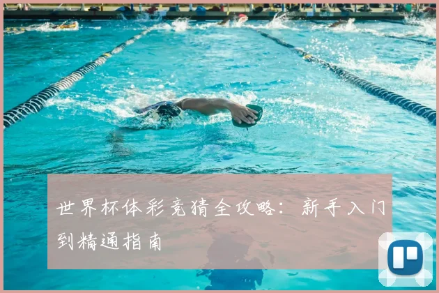世界杯体彩竞猜全攻略:新手入门到精通指南