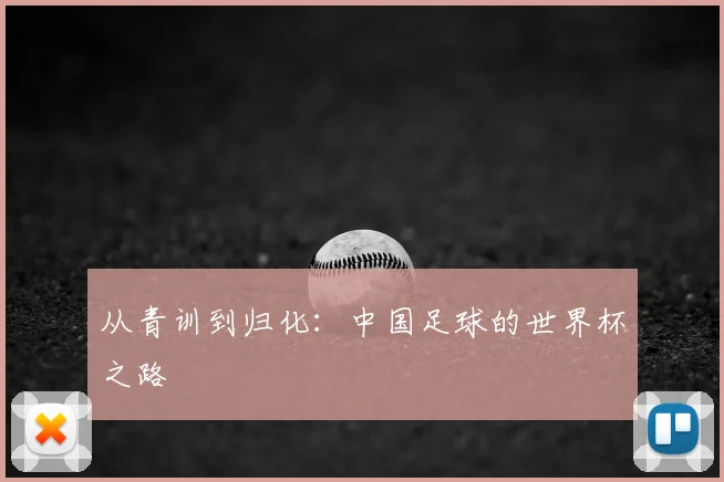 从青训到归化：中国足球的世界杯之路