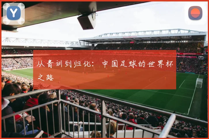 从青训到归化：中国足球的世界杯之路