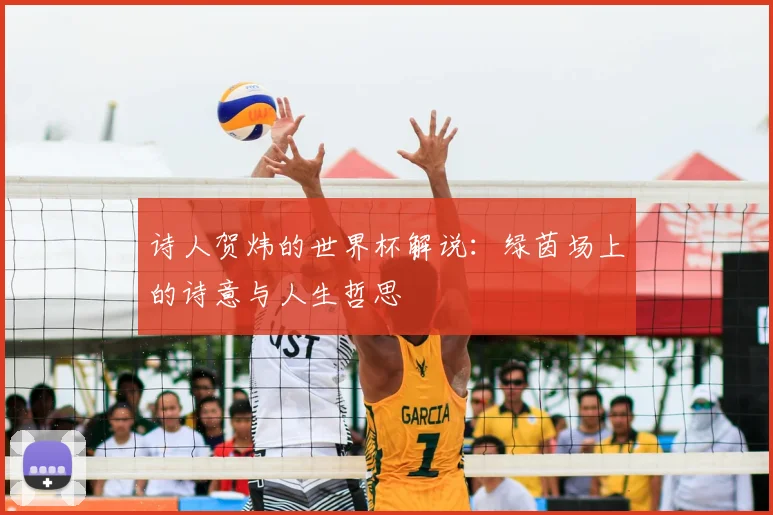 诗人贺炜的世界杯解说:绿茵场上的诗意与人生哲思
