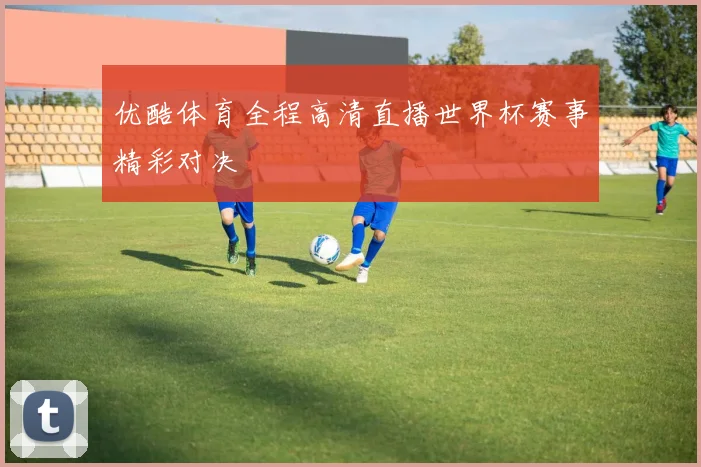 优酷体育全程高清直播世界杯赛事精彩对决