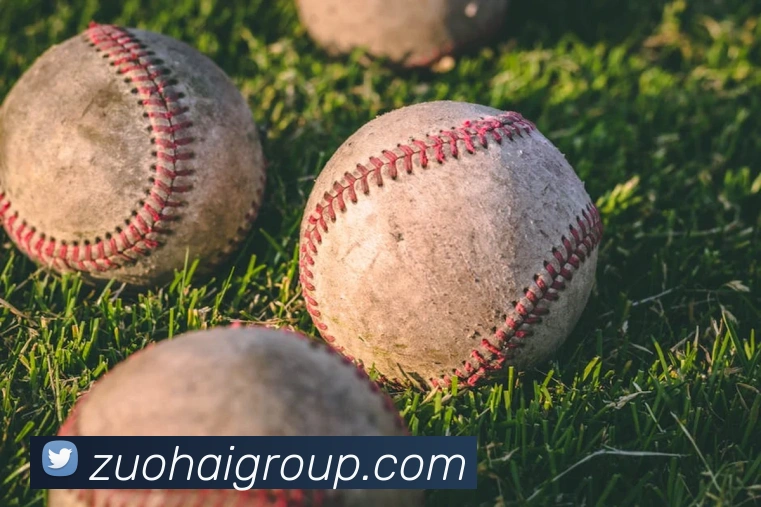 mksports登录入口平台生态图